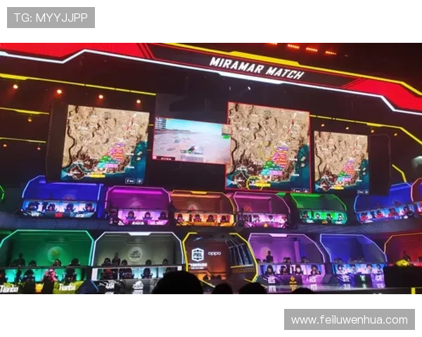 全球电竞行业持续扩展 电竞赛事吸引百万观众线上线下互动加深