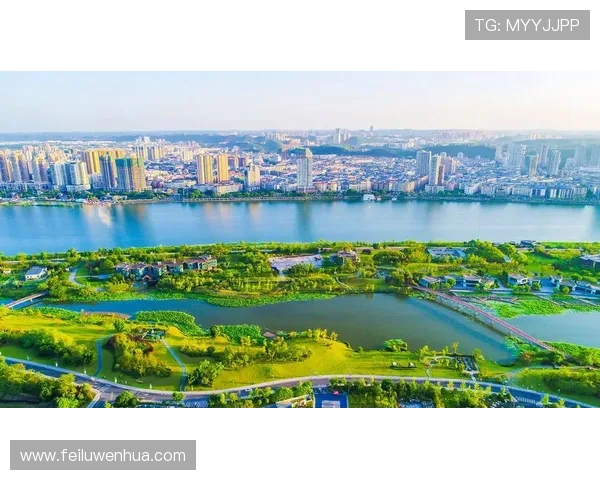 布拉德福德俱乐部的崛起之路与英国足球文化发展的深度交织