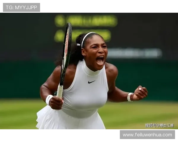 网球巨星小威宣布退役 她的辉煌生涯将如何被铭记
