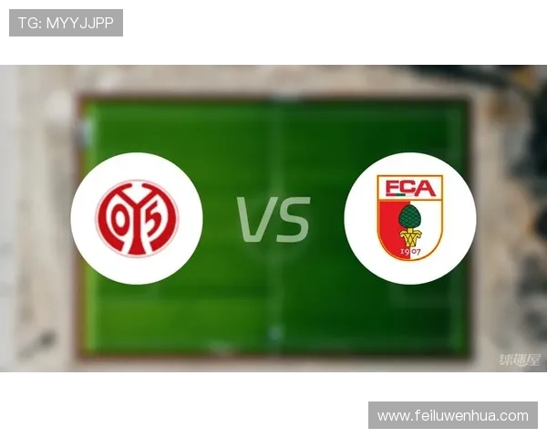 美因茨05俱乐部：球队签下新援，引发球迷热议