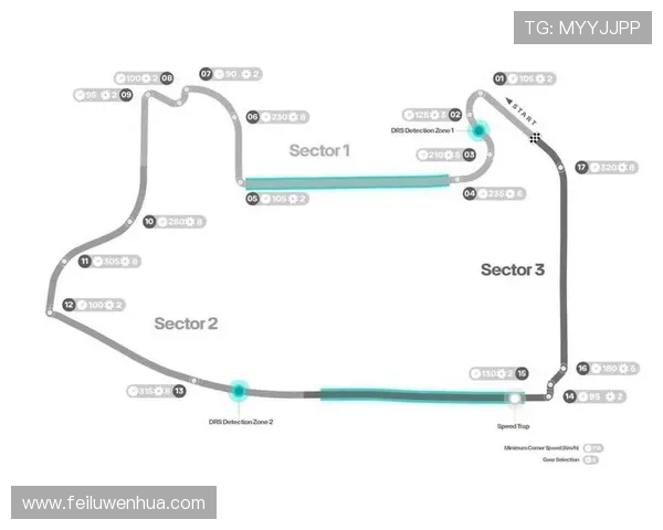 F1赛季关键转折点揭晓车队格局与车手前景全面解析深度前瞻新闻