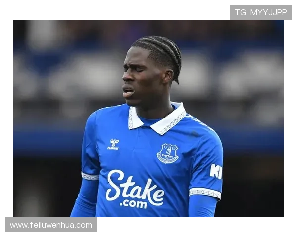 传统与复兴并行的英超劲旅阿斯顿维拉俱乐部历史文化与未来蓝图