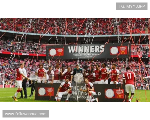 阿森纳新赛季表现惊艳 球迷期待球队重回英超巅峰